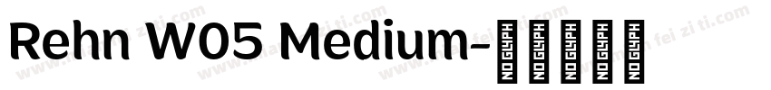 Rehn W05 Medium字体转换